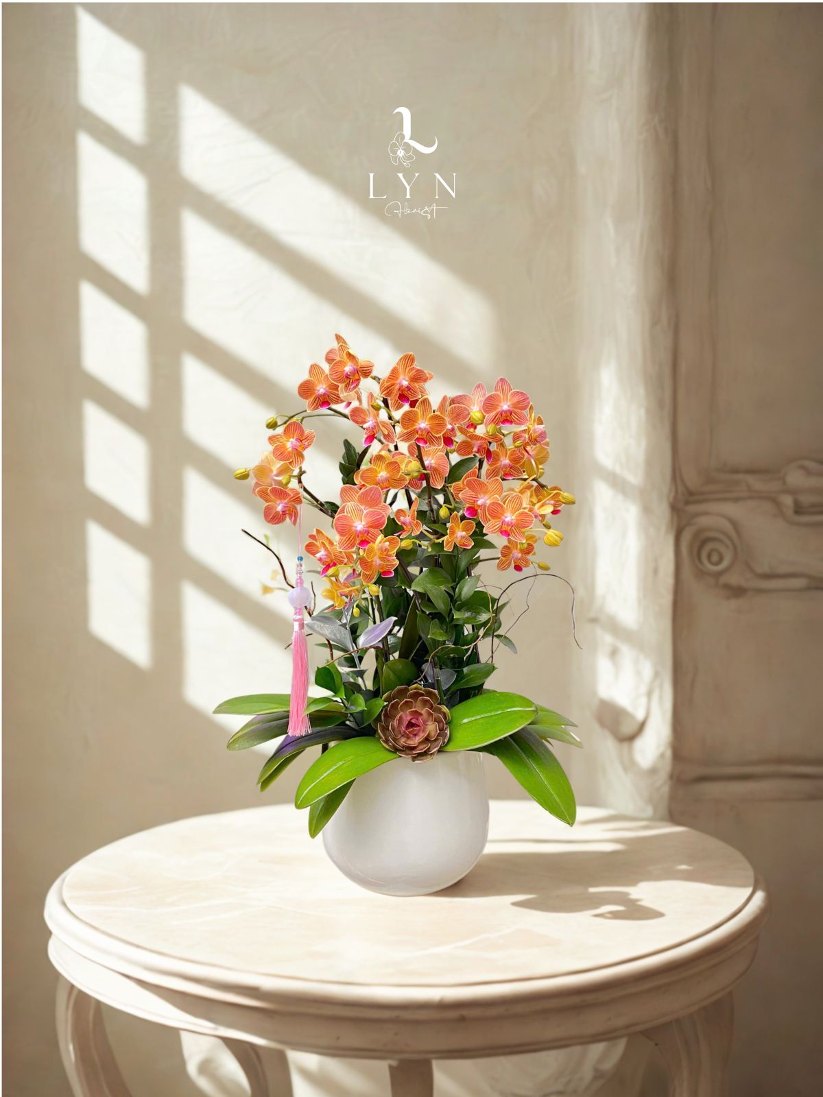 Chậu Hoa Tiểu Hồ Điệp Cam